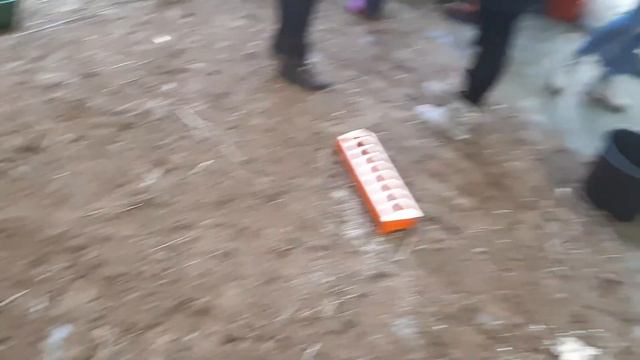 Ранчо/Ферма в магазине в Пярну Эстония смотреть онлайн