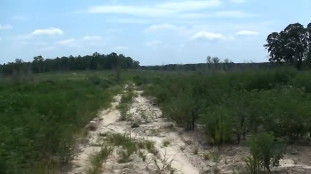 Barrett Model 95 смотреть онлайн