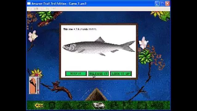 Amazon Trail 3 Novice Quest Joao part 1 смотреть онлайн