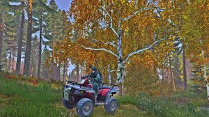 DayZ Изоляция прокачиваем охоту