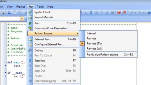 Using Pyscripter and IDLE with the Python Turtle Module