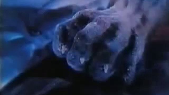 Manimal - 01x01 - Manimal (2 di 5) смотреть онлайн