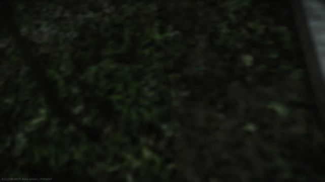 Лучший гайд на Escape from Tarkov смотреть онлайн