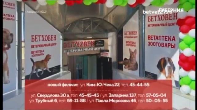 Окончание эфира Губерния (20.09.2023) смотреть онлайн