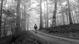 Всё тот же путь