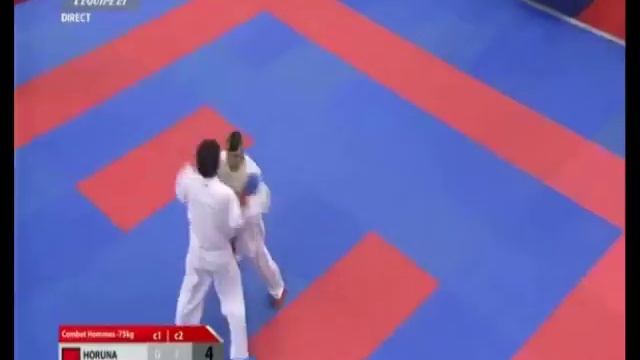 WKF karate Paris Open 2014 Stanislav Horuna Final -75 kg смотреть онлайн