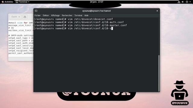 Installation et Configuration de Roundcube Webmail de A a Z sur CentOS 8 STREAM (étape par étape) смотреть онлайн