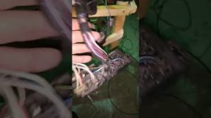 Не получается распиновка ЭБУ к6а