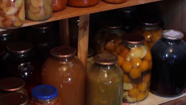 How to survive after SHTF in an urban or suburban environment смотреть онлайн