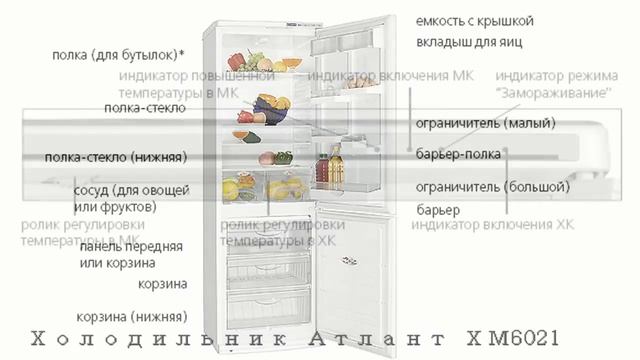 Холодильник АТЛАНТ ХМ 6021 смотреть онлайн