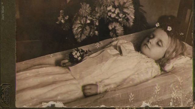 смерть вероники - LEAVEHIM (ex. VV0LFBΣЯRY 🍇) смотреть онлайн