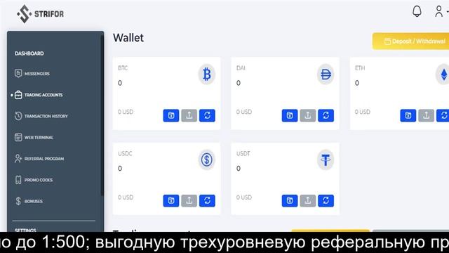 Stifor брокер