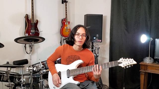 Schecter C-8 Deluxe Unboxing/First Impressions/Review