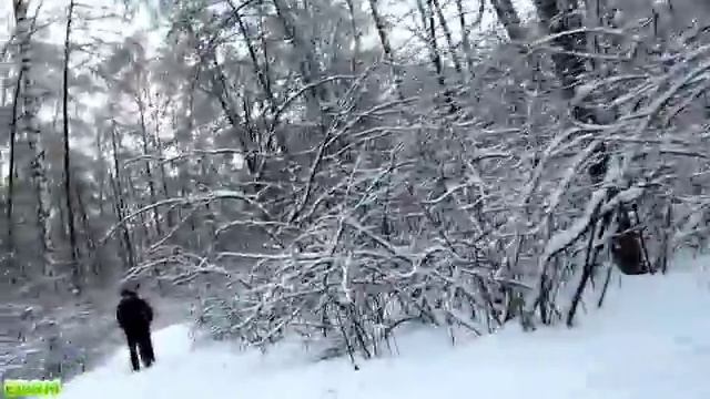 Лианозовский лес / Forest in Lianozovo (area in Moscow) 30.12.2010 смотреть онлайн