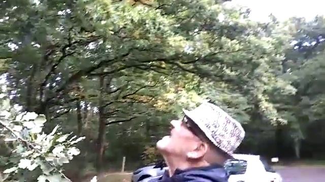 Нормандия. Наш поросенок любит желуди...