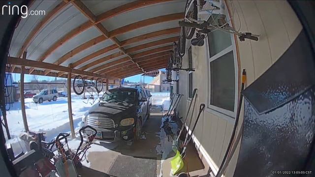 2 North Dakotans Come Home From a Walk смотреть онлайн