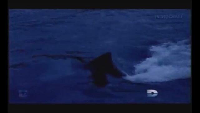 A la dérive ⛵? 76 jours perdus en mer ❗❗ 1986. смотреть онлайн