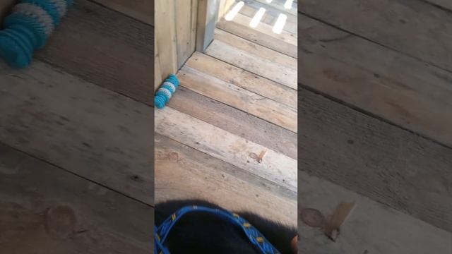 обзор на шлейку и потяг смотреть онлайн