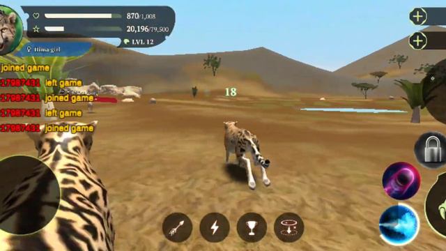 The Cheetah Game Playing Cheetah