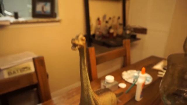 Selling My Canon 60D?!? 2.6.16 смотреть онлайн