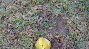 Тест металлоискателей Minelab EQUINOX 600,Garrett Ace 400i и Fisher F75.