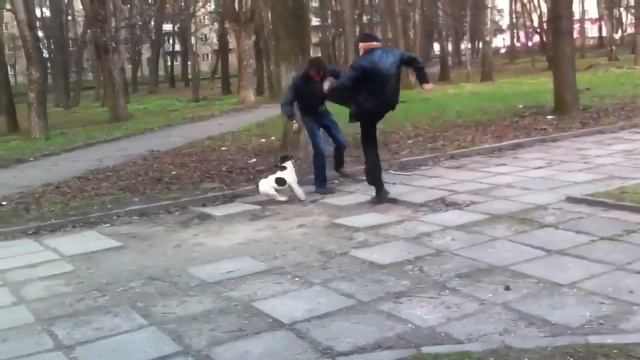 В бой идёт все, что попало под руку... Даже собаки... смотреть онлайн