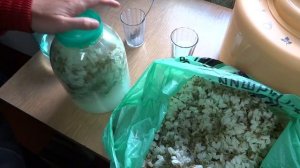 Квас из акации