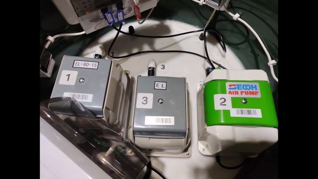 Краткий обзор на станцию Коло Илма 100 смотреть онлайн