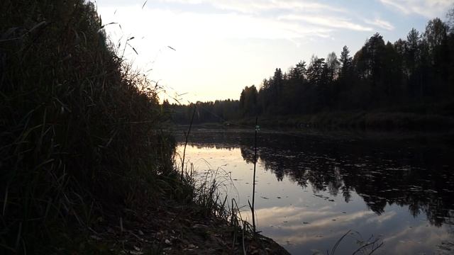 Осень...Кубена...Хариус...(сентябрь 2018) смотреть онлайн
