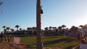 ОБЗОР Shores Hotel Amphoras 5* ex. OTIUM FAMILY AMPHORAS BEACH RESORT 5* Sharm El Sheikh Египет