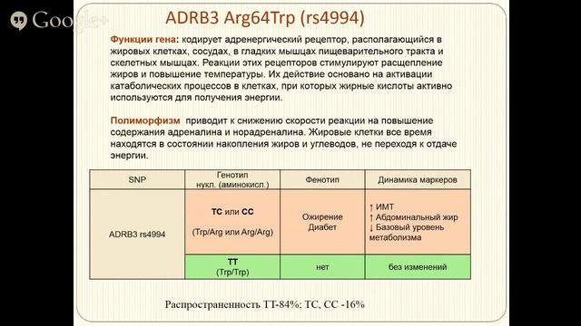 Вебинар НПФ "Литех" смотреть онлайн