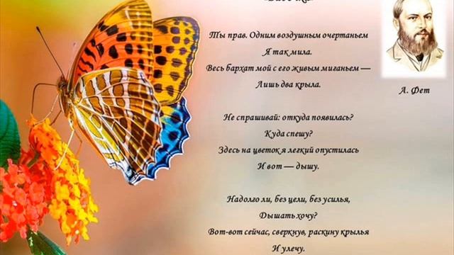 Бабочка ("Ты прав. Одним воздушным очертаньем"), Фет А. смотреть онлайн