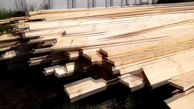 ЗОЛОТОЙ ЛЕС смотреть онлайн