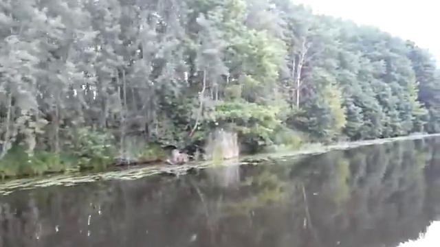 Yamaha Yam S380 + Yamaha F15AMH смотреть онлайн