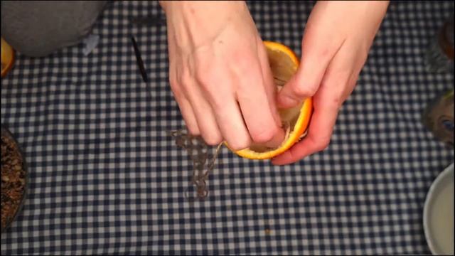 Эко-Кормушка из апельсинов своими руками. смотреть онлайн