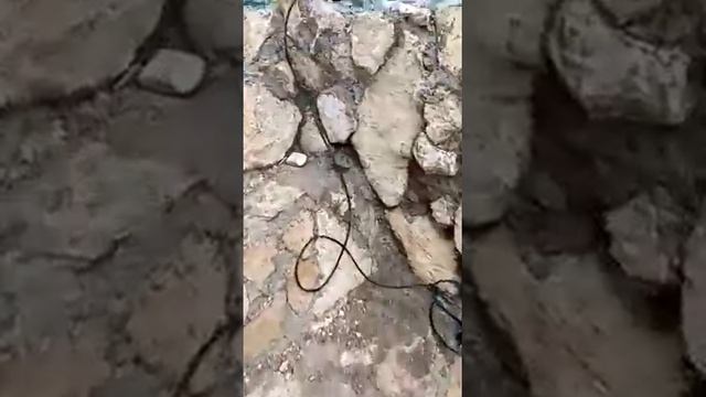 Ещё один пруд своими руками