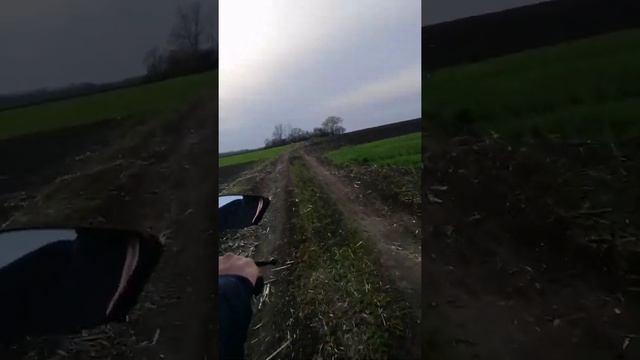 Мото Будни Покатушки на мопедах. смотреть онлайн