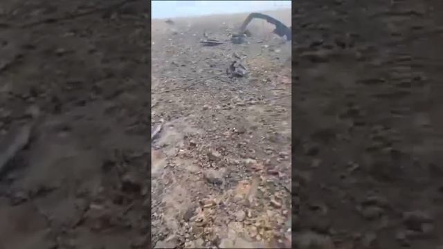 Чёткий прилет по чубатой самоходной скотовозке. смотреть онлайн