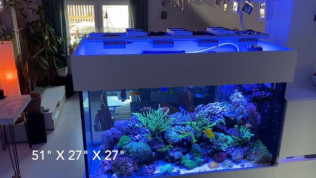 REEF TANK UPDATE - The Technical Reef Aquarium *rescape Corals*