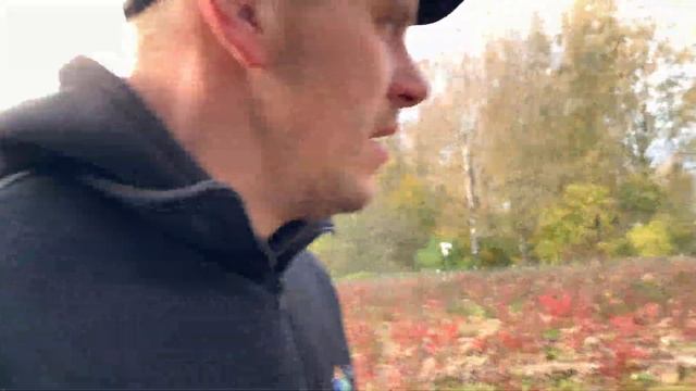 Голубика конец сезона!!! Паразиты ? Голубики !!! смотреть онлайн