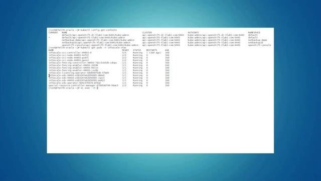 Veritas Enterprise Storage and Data Protection for Kubernetes: InfoScale смотреть онлайн