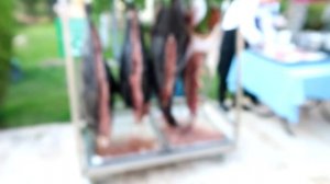 Турция 2019, Кемер, Cемейный отдых, Crystal aura beach resort & spa