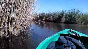 Болотоход SEA PRO 6,5 Заплыв по болотам на 36-километров