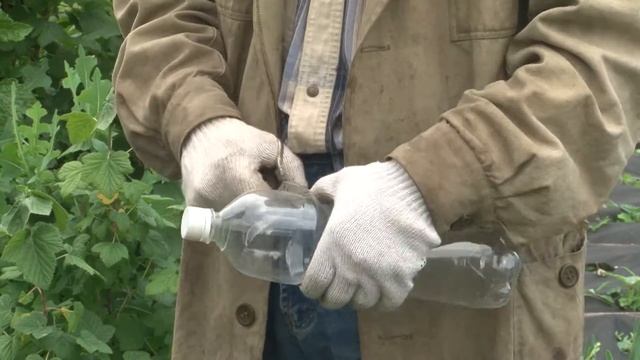 "Большой урожай". Капельный полив, насадки для душа из бутылок смотреть онлайн