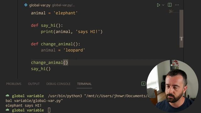 Python global variables – Python tutorial for beginners – CodeBerry Programming School смотреть онлайн