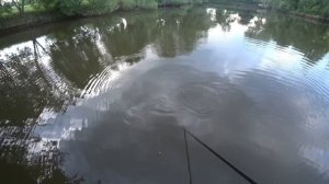 Эта снасть ловит везде. КОРОМЫСЛО Оснастка, рецепт каши, рыбалка