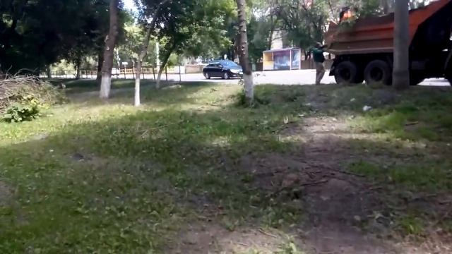 9.06.2017г.Обрезка и вывоз веток Бакинская,д.40. смотреть онлайн