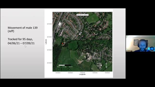 Secretive Settlers: a year in the life of Aesculapian snakes смотреть онлайн