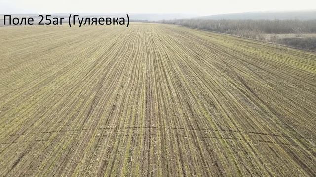 "Ралиивка" - Облёт полей от 04.03.2021 (Одесская область, Березовский район) смотреть онлайн