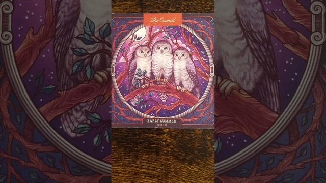 The Council ? Seek Support ? Wild Wisdom Companion Oracle card meaning смотреть онлайн